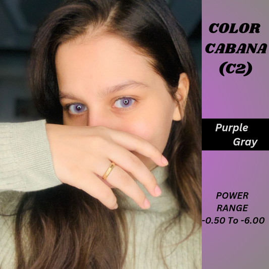 PURPLE GREY   ( COLOR CABANA )