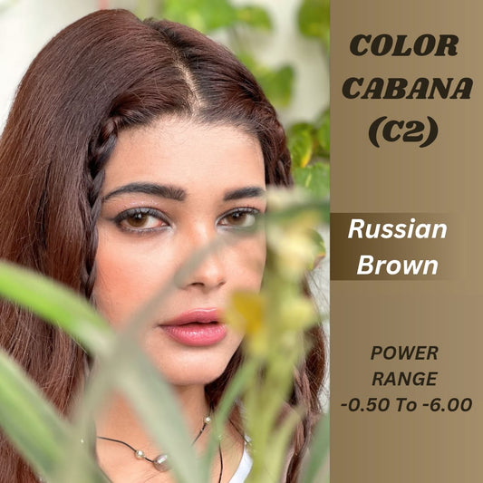 RUSSIAN BROWN  ( C2 )